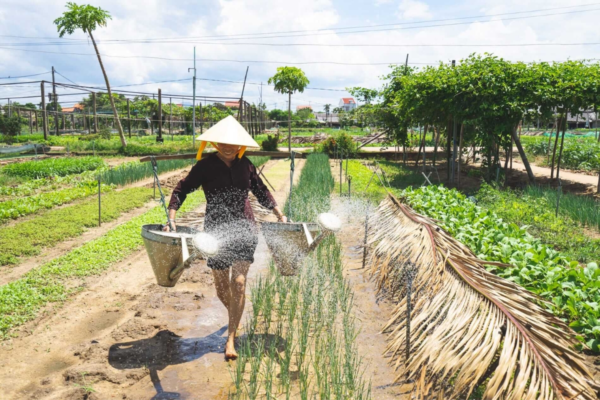 Hoi An attractions tra que village