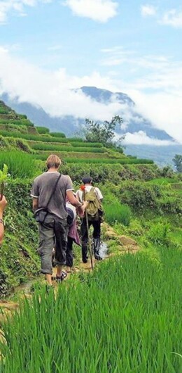 sapa-trekking-tour.jpg