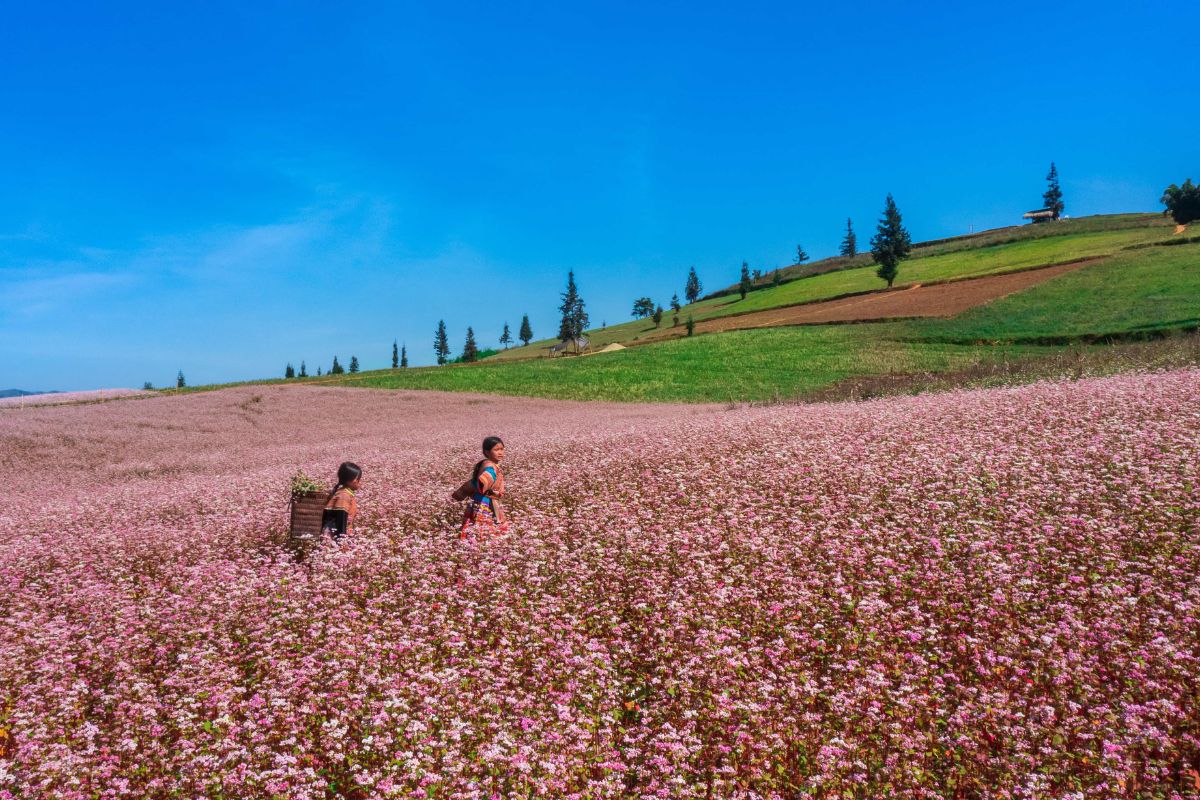 traveling through vietnam ha giang's valley 