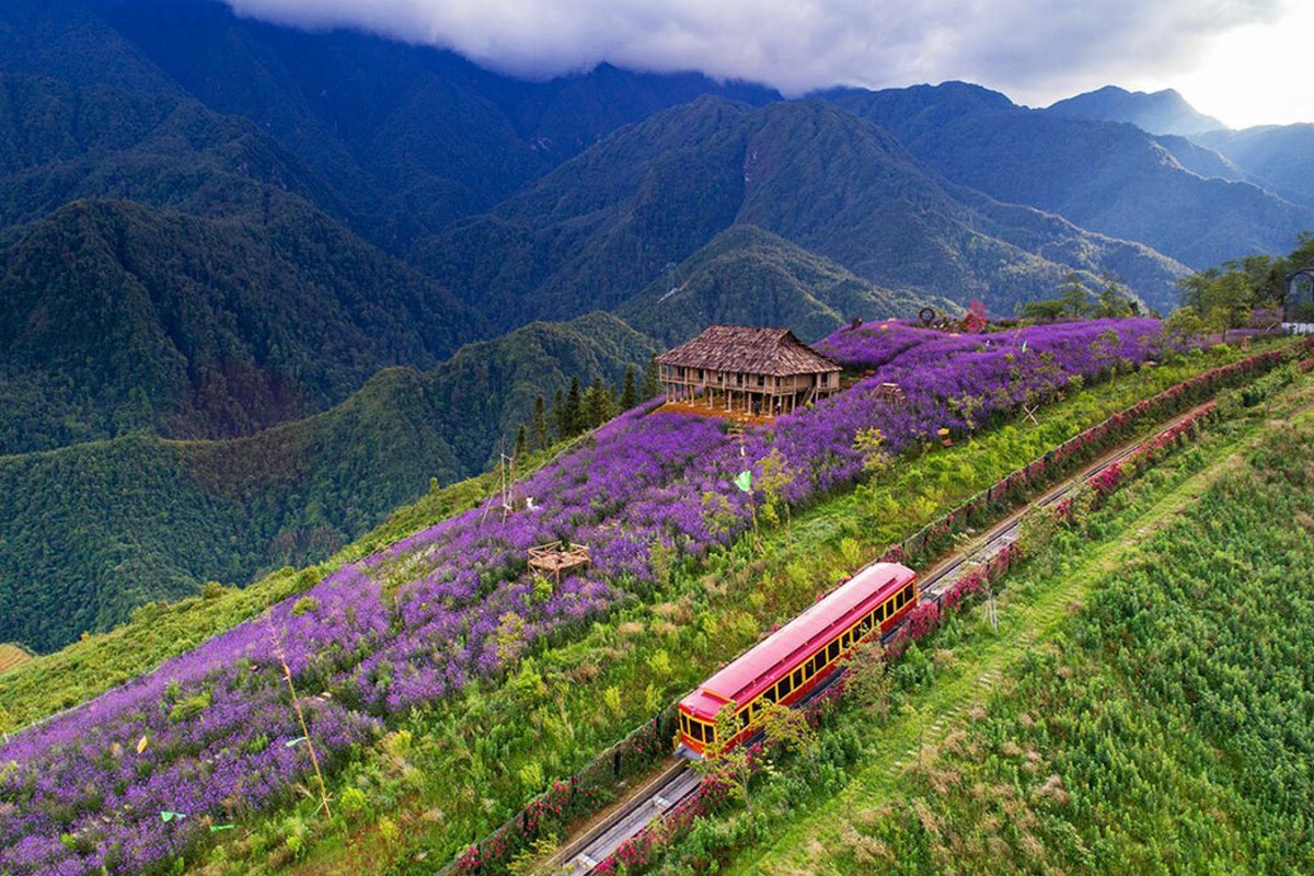 Sapa Valley Vietnam muong hoa valley