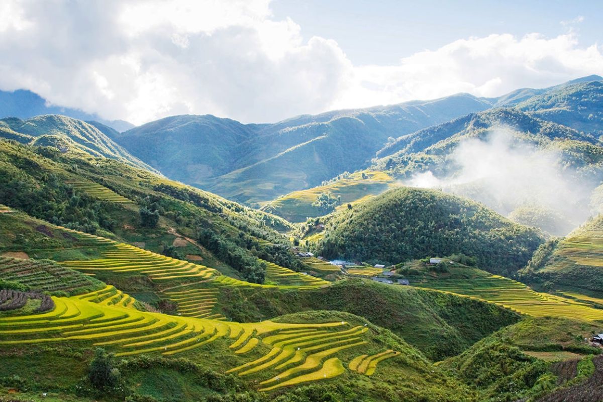 2 weeks in vietnam sapa terraced fields vietnam